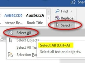 beginning a word document select all