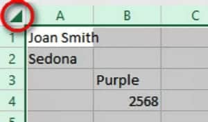 Excel Formatting Cells For A Better Understanding Of Information