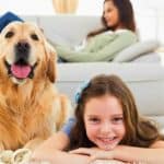 Feature | What To Look For In A Dog Camera | Products Perfect For Pet Owners | pet surveillance camera
