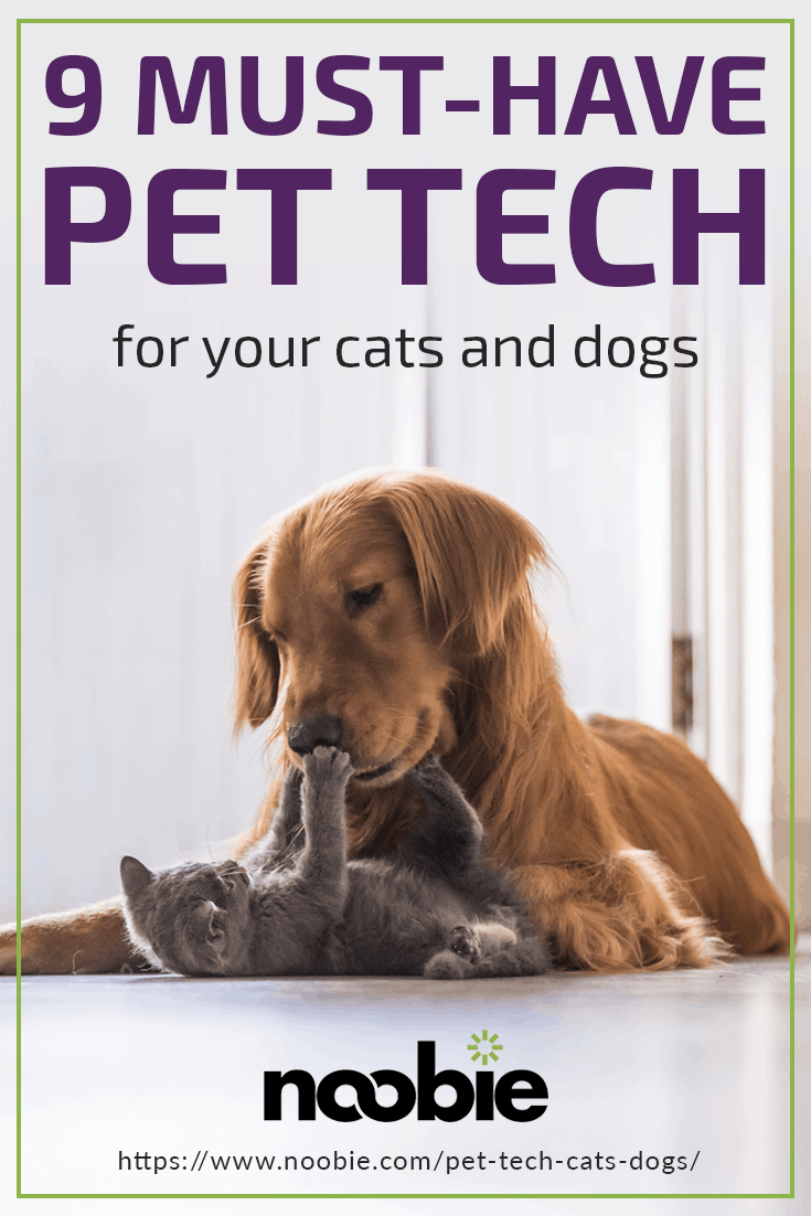 9 Must-Have Pet Tech For Your Cats and Dogs | https://noobie.com/pet-tech-cats-dogs/