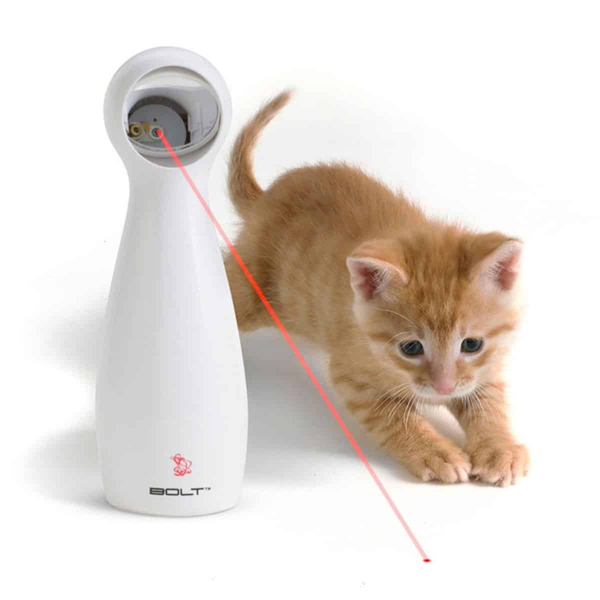 FroliCat Bolt | Must-Have Pet Tech For Your Cats and Dogs
