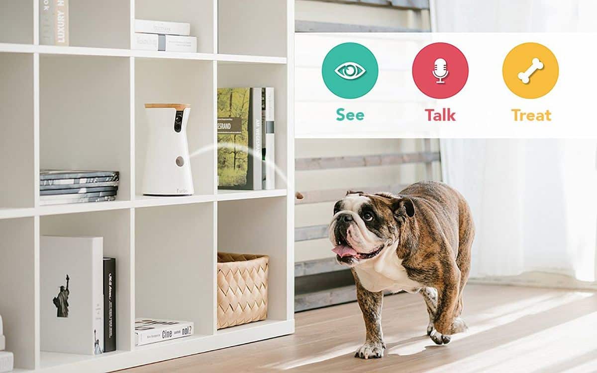 Furbo Treat-Tossing HD Dog Camera | Must-Have Pet Tech For Your Cats and Dogs