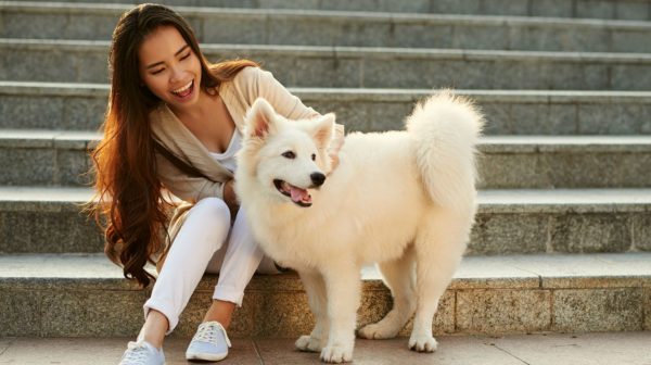 Feature | Asian woman playing with her pet | Must-Have Pet Tech For Your Cats and Dogs