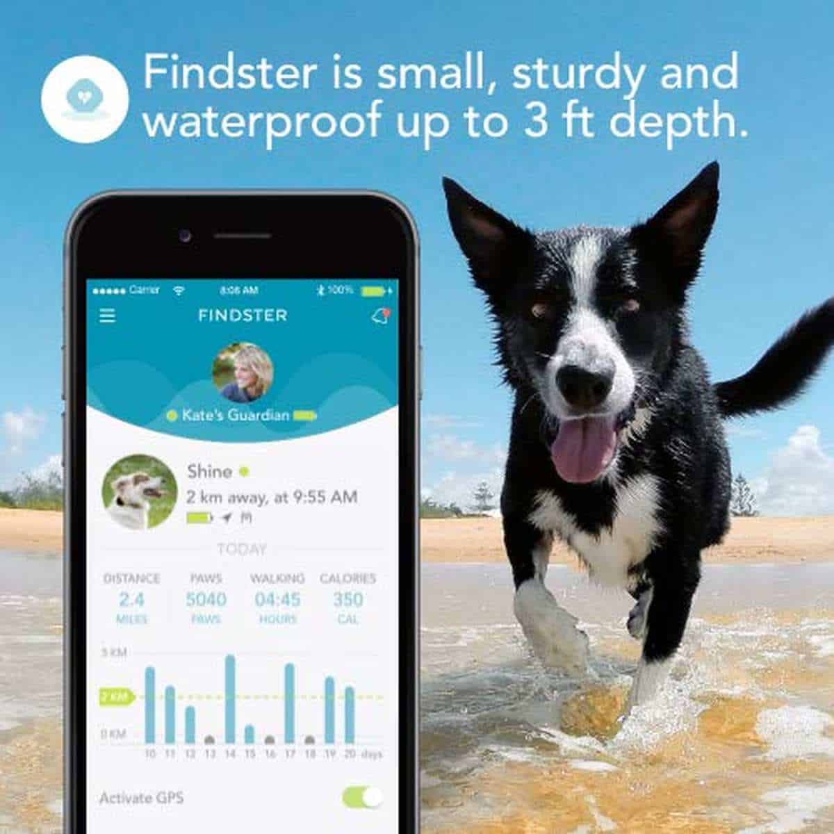 Findster Duo+ Pet Tracker | Best Pet Trackers Available On Amazon