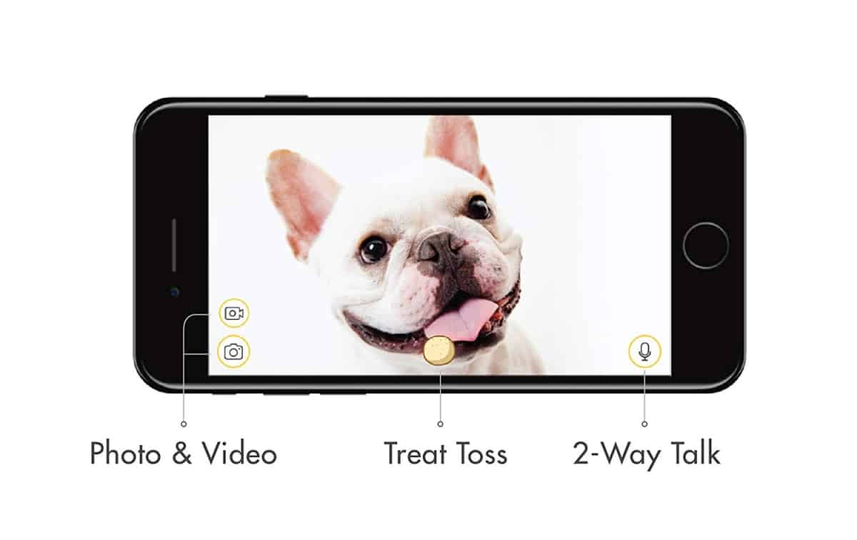 Furbo App support | Is The Furbo Dog Camera As Smart As They Say It Is?