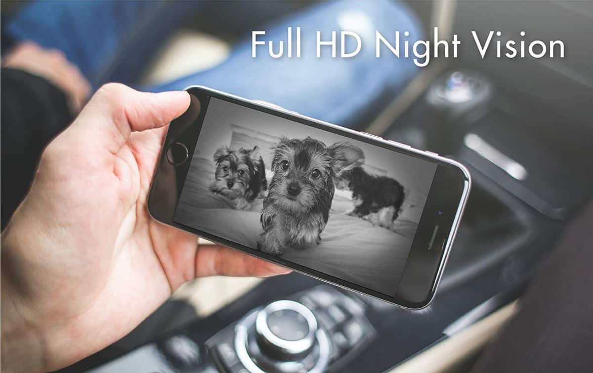Night Vision View | Is The Furbo Dog Camera As Smart As They Say It Is?