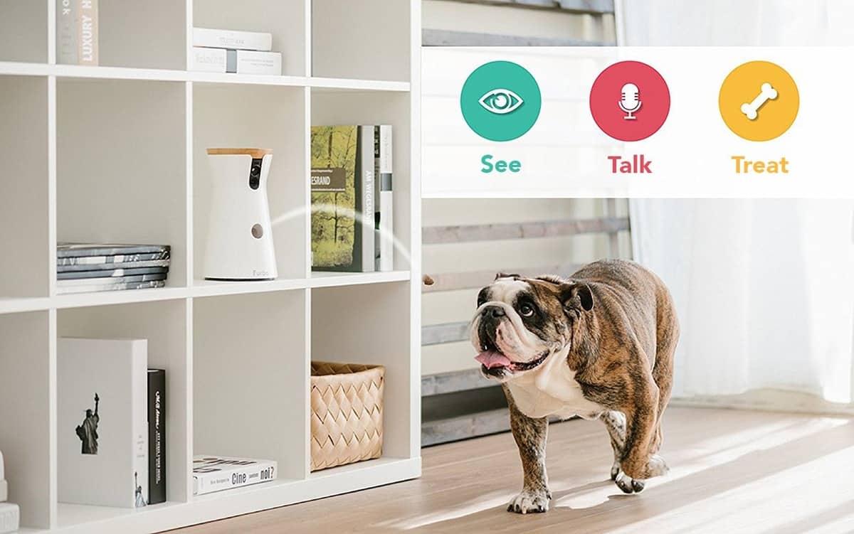  Interactive Two-Way Radio | Is The Furbo Dog Camera As Smart As They Say It Is?