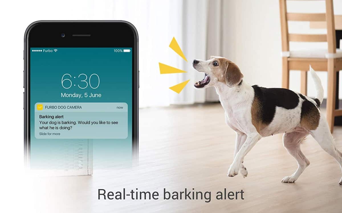 Real-Time Barking Alerts and Notifications | Is The Furbo Dog Camera As Smart As They Say It Is?