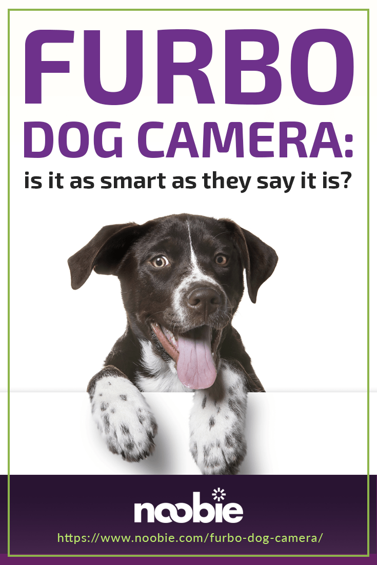 Is The Furbo Dog Camera As Smart As They Say It Is? | https://noobie.com/furbo-dog-camera/