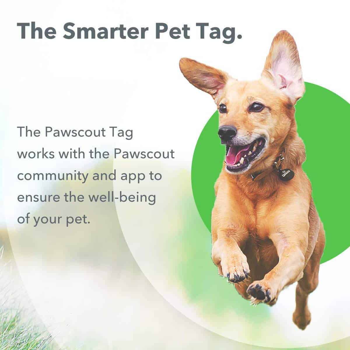 Pawscout Dog & Cat Community Pet Tracker | Best Pet Trackers Available On Amazon
