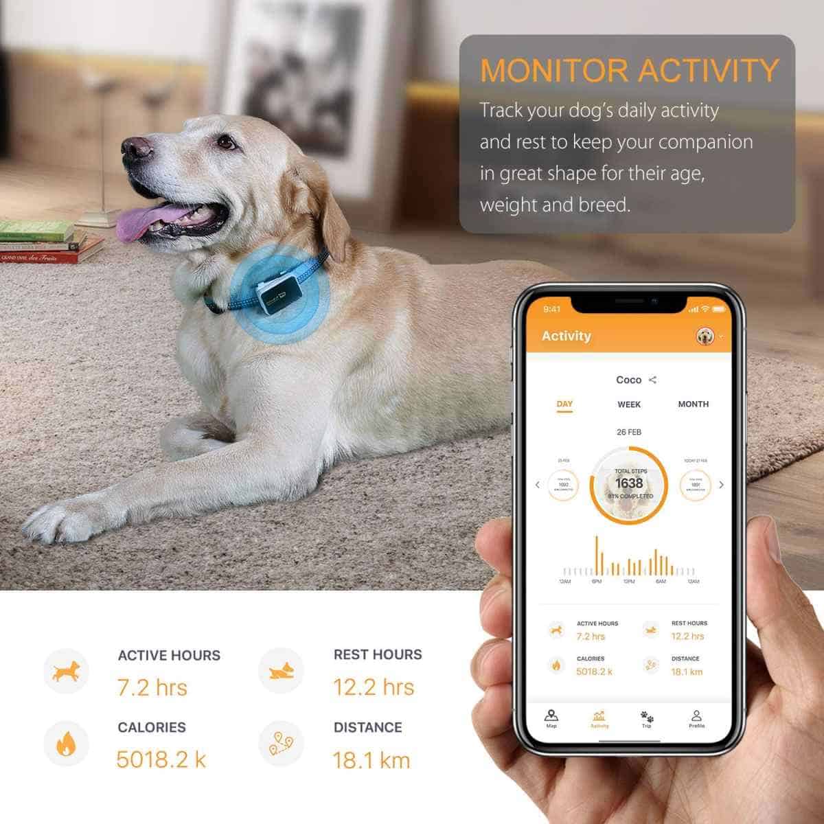 Pawfit Pet GPS Tracker and Activity Monitor | Best Pet Trackers Available On Amazon