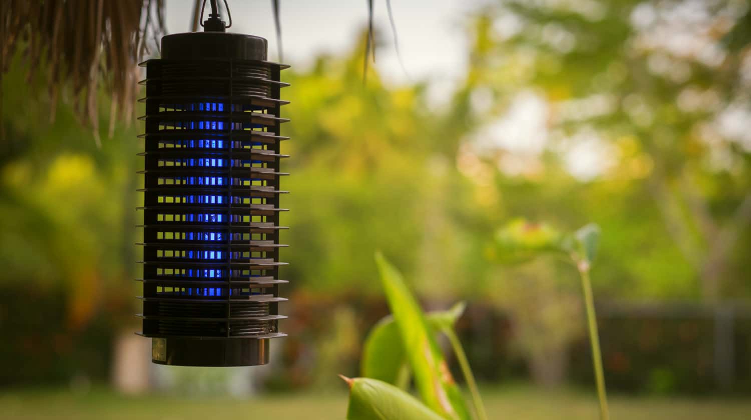Featured | Blue insect lamp | Bug Zapper: How Does It Work And Which One Should You Get?