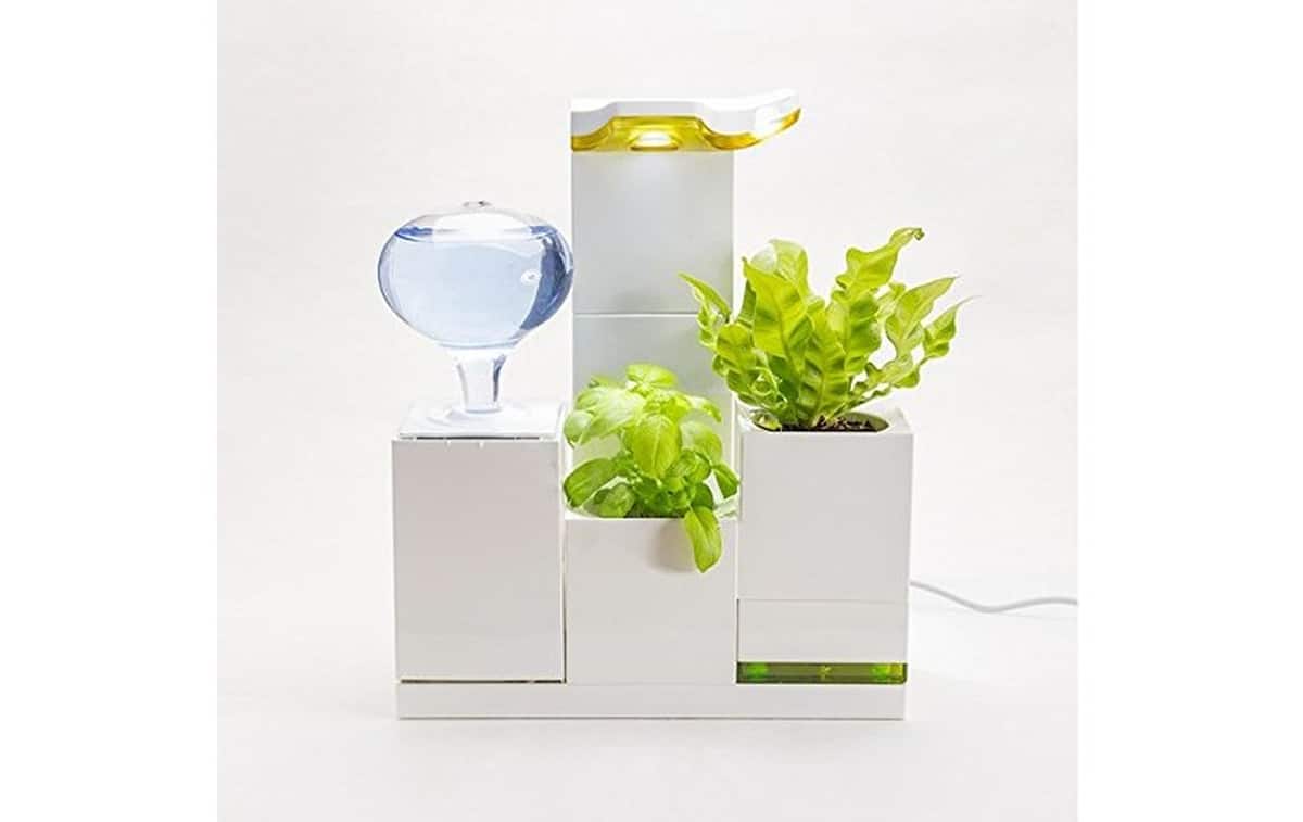 LeGrow Office Green Smart Self-Watering Herb Garden | Robotic Lawn Mowers and Other Smart Gadgets for the (Hard) Yard Work | lawn care