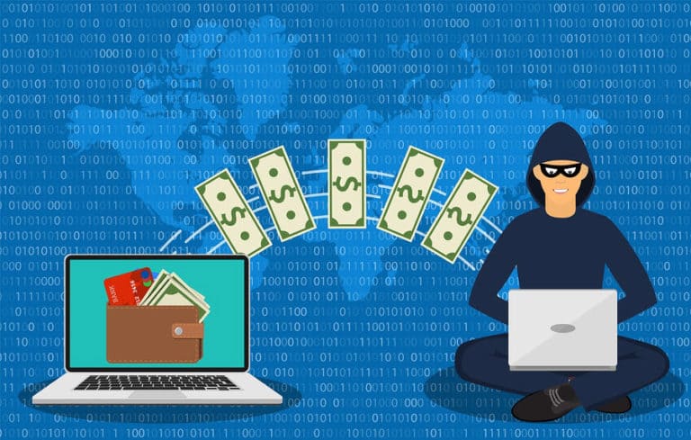 Cyber thief credit card fraud